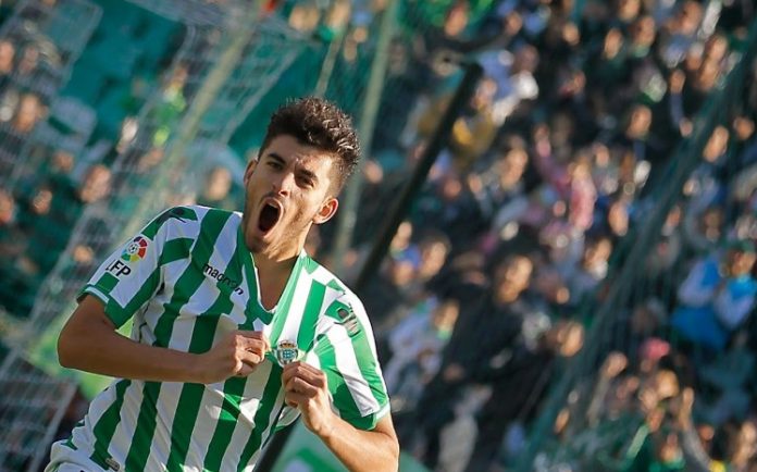 dani ceballos dani ceballos