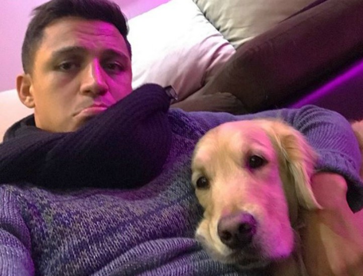 Liga Inggris - Alexis Sanchez Kini Mulai Patah Semangat Liga Inggris - Alexis Sanchez Kini Mulai Patah Semangat
