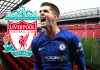 Liverpool Sedang Cari Pengganti Sadio Mane, Tapi Tak Minati Penyerang Chelsea Ini