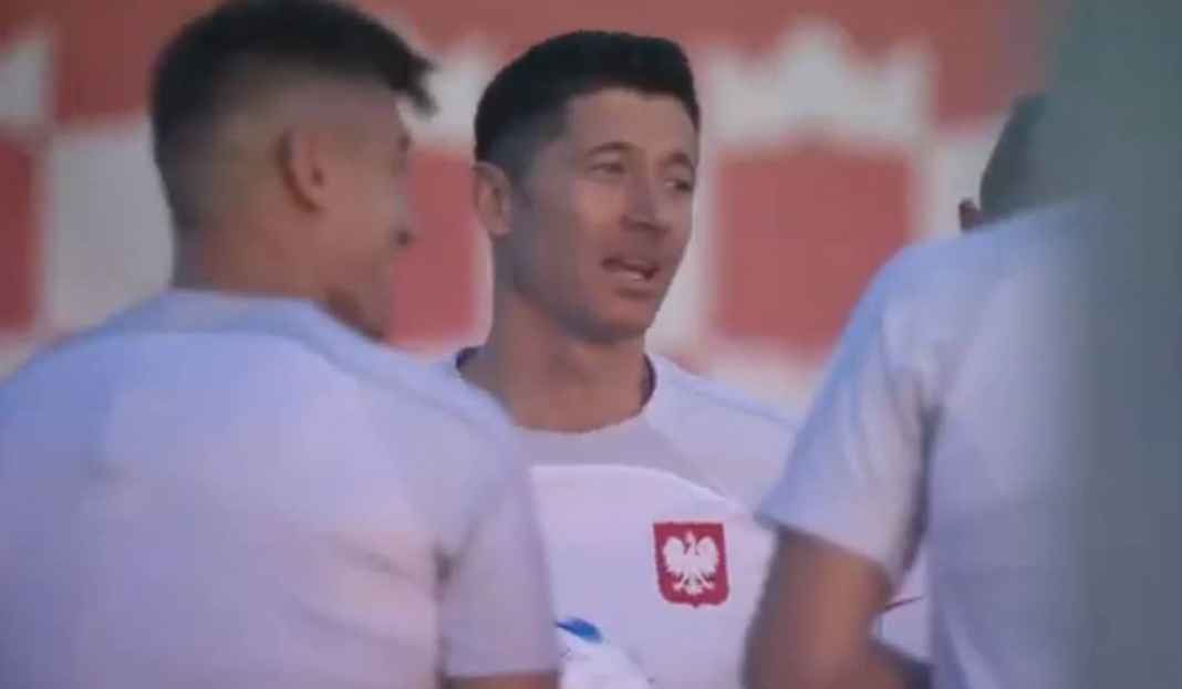 Robert Lewandowski, Timnas Polandia Robert Lewandowski, Timnas Polandia