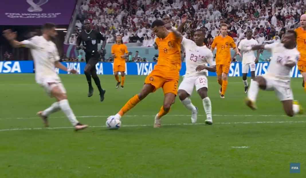 Cody Gakpo, Belanda Cody Gakpo, Belanda