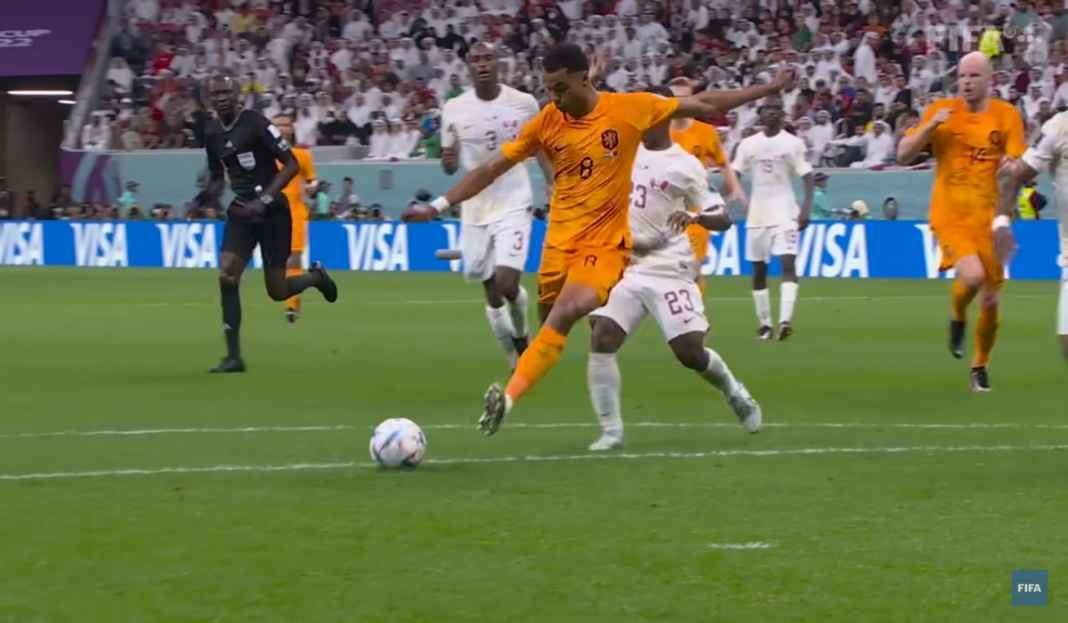 Cody Gakpo, Belanda Cody Gakpo, Belanda