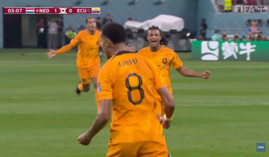 Cody Gakpo, Timnas Belanda Cody Gakpo, Timnas Belanda