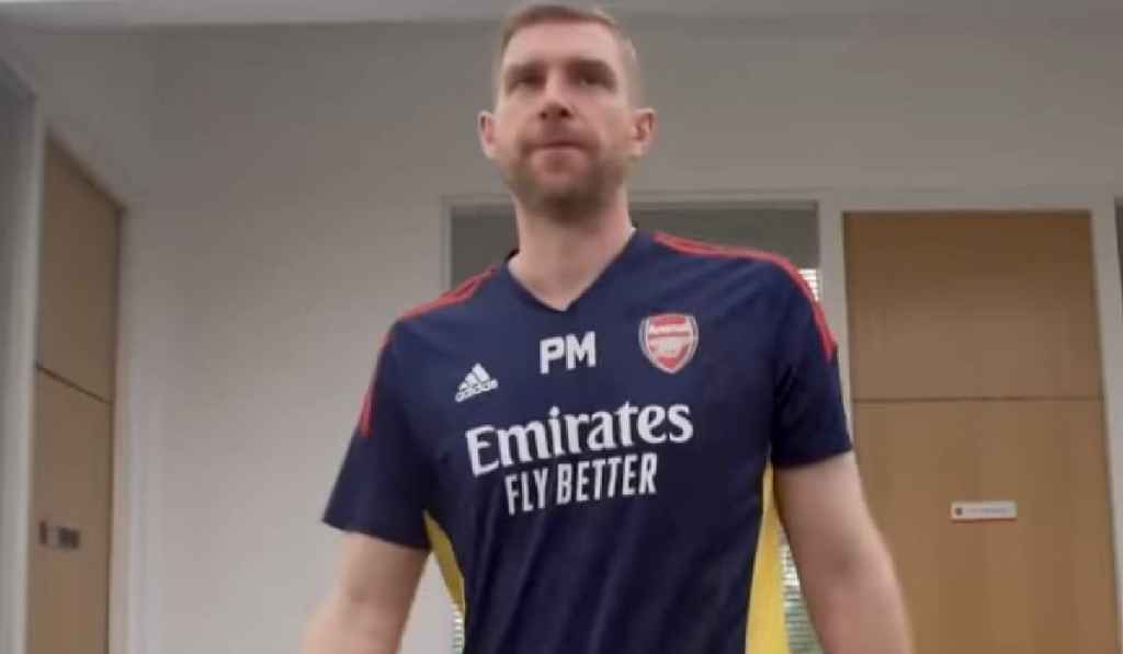 Per Mertesacker, Timnas Jerman