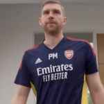 Per Mertesacker, Timnas Jerman