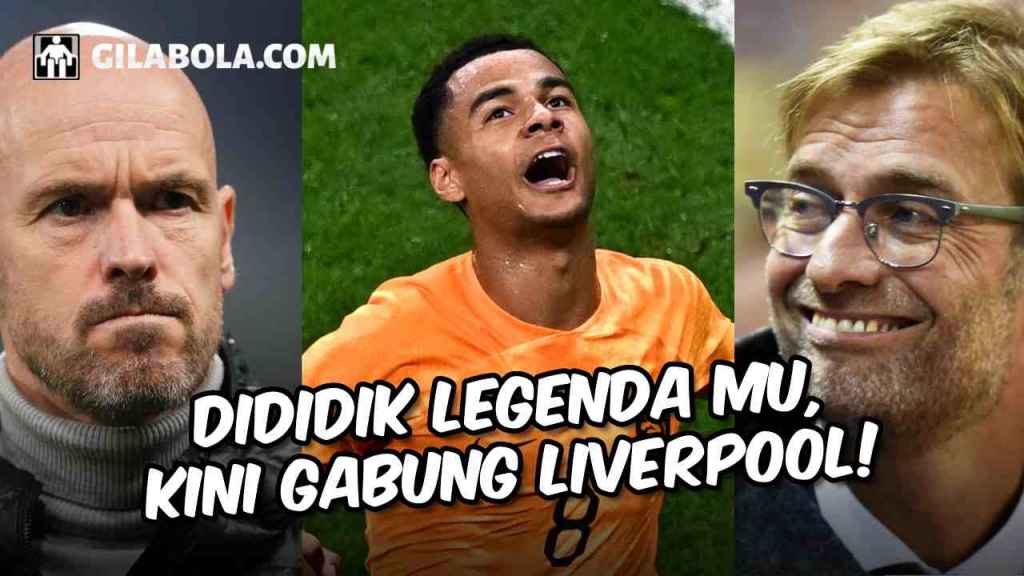 Profil Cody Gakpo, Murid Van Nistelrooy Resmi Gabung Liverpool