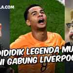 Profil Cody Gakpo, Murid Van Nistelrooy Resmi Gabung Liverpool