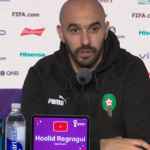 Walid Regragui, Timnas Maroko