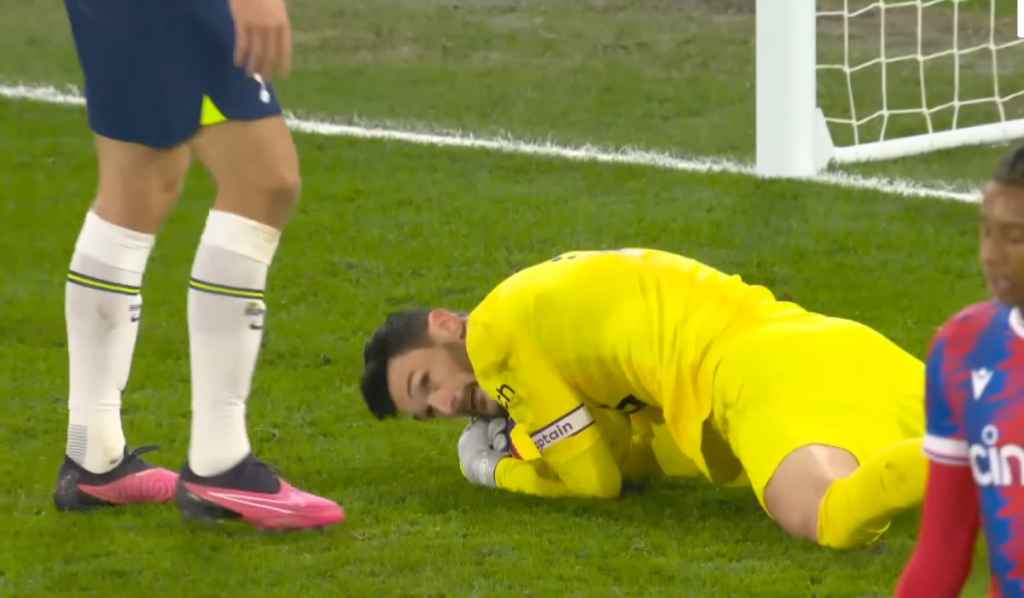 Hugo Lloris, Tottenham Hotspur