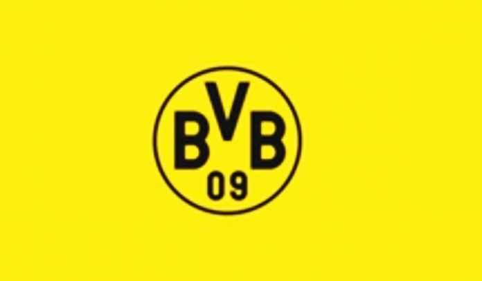 Borussia Dortmund Perkenalkan Rekrutan Anyar Pertamanya