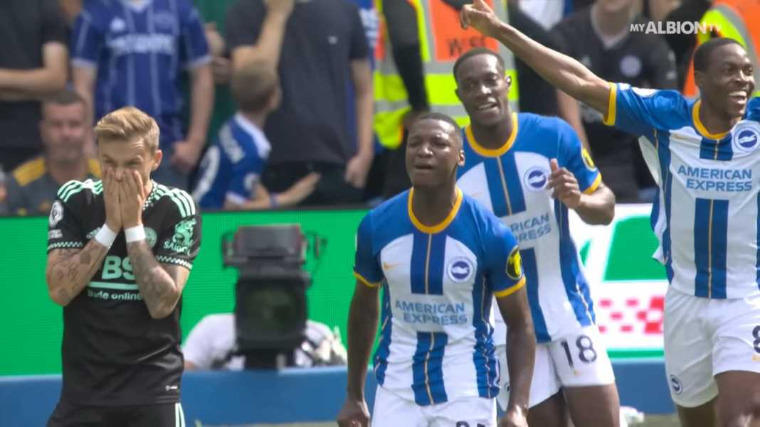 Moises Caicedo bersama Brighton Laga Argentina vs Ekuador Jadi Ajang Perang Saudara Alumni Brighton