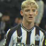 Prediksi Luton Town vs Newcastle United