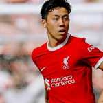 Wataru Endo Liverpool