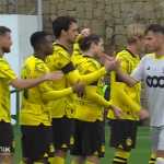 Prediksi Darmstadt vs Borussia Dortmund