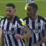 Kabar Terbaru Cedera Newcastle United Saat Ada Setidaknya Sembilan Pemain Absen