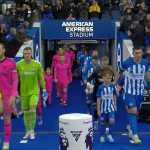 Prediksi Fulham vs Brighton
