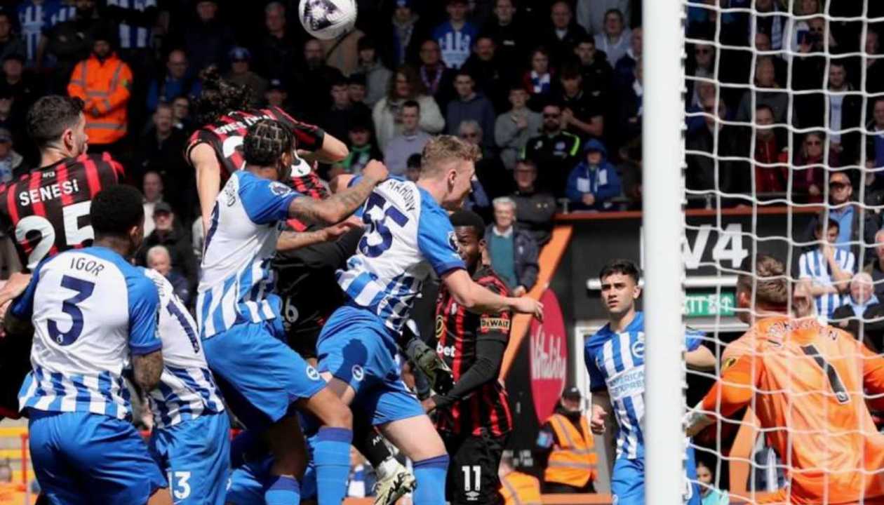 Hasil Bournemouth vs Brighton - Liga Inggris