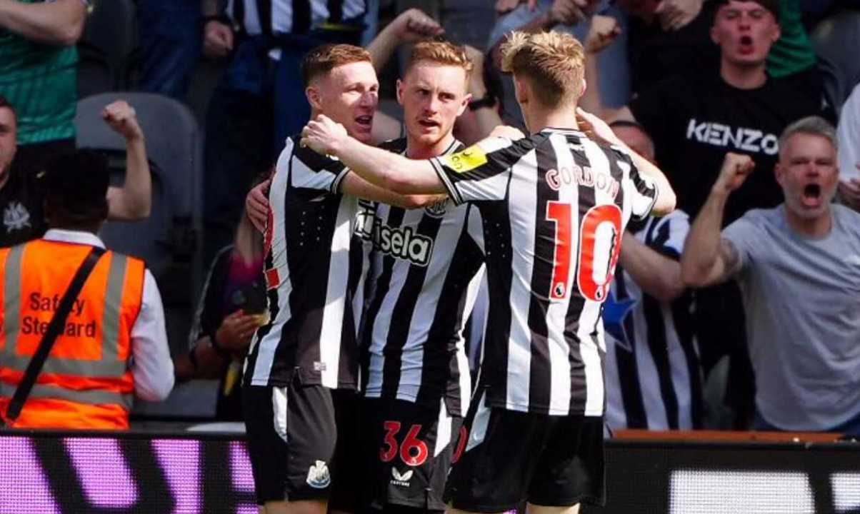 Hasil Liga Inggris - Newcastle United vs Brighton