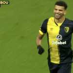 Dominic Solanke masuk target Chelsea