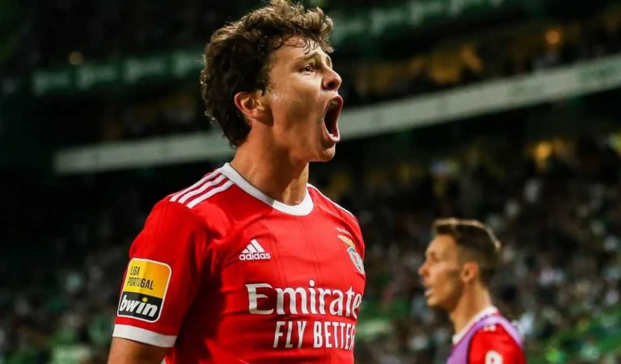 Joao Neves pemain Benfica incaran Arsenal, Chelsea dan Manchester United