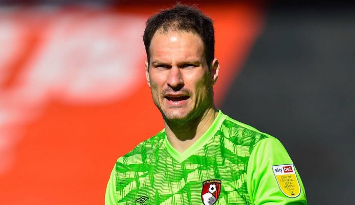 Asmir Begovic pemain Everton