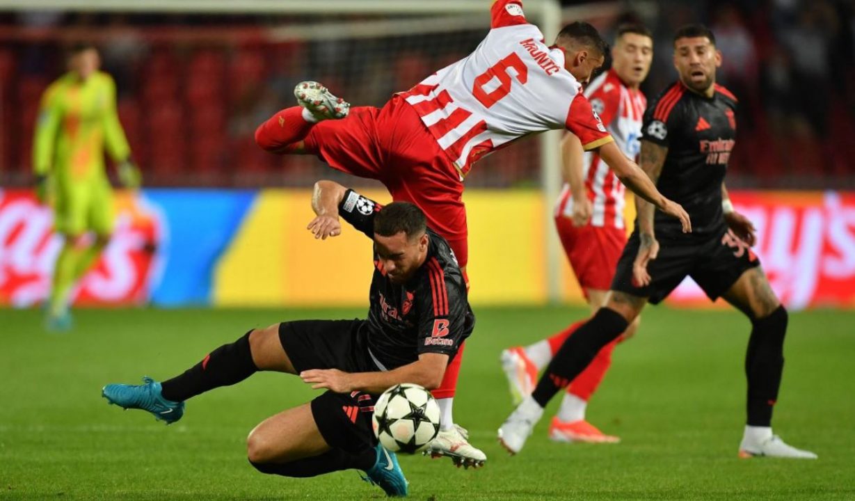 Hasil Red Star Belgrade vs Benfica di Liga Champions