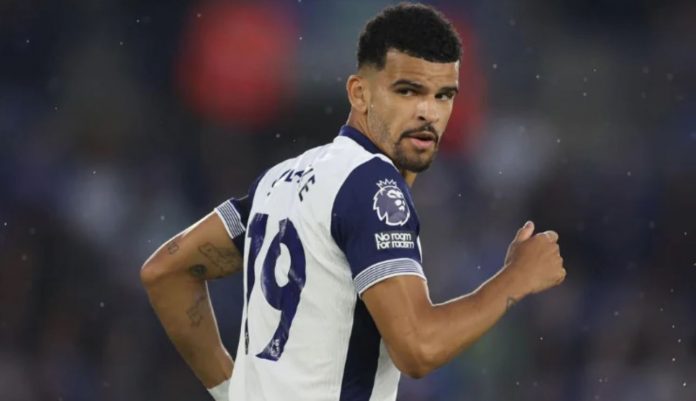 Dominic Solanke masuk daftar pemain Timnas Inggris