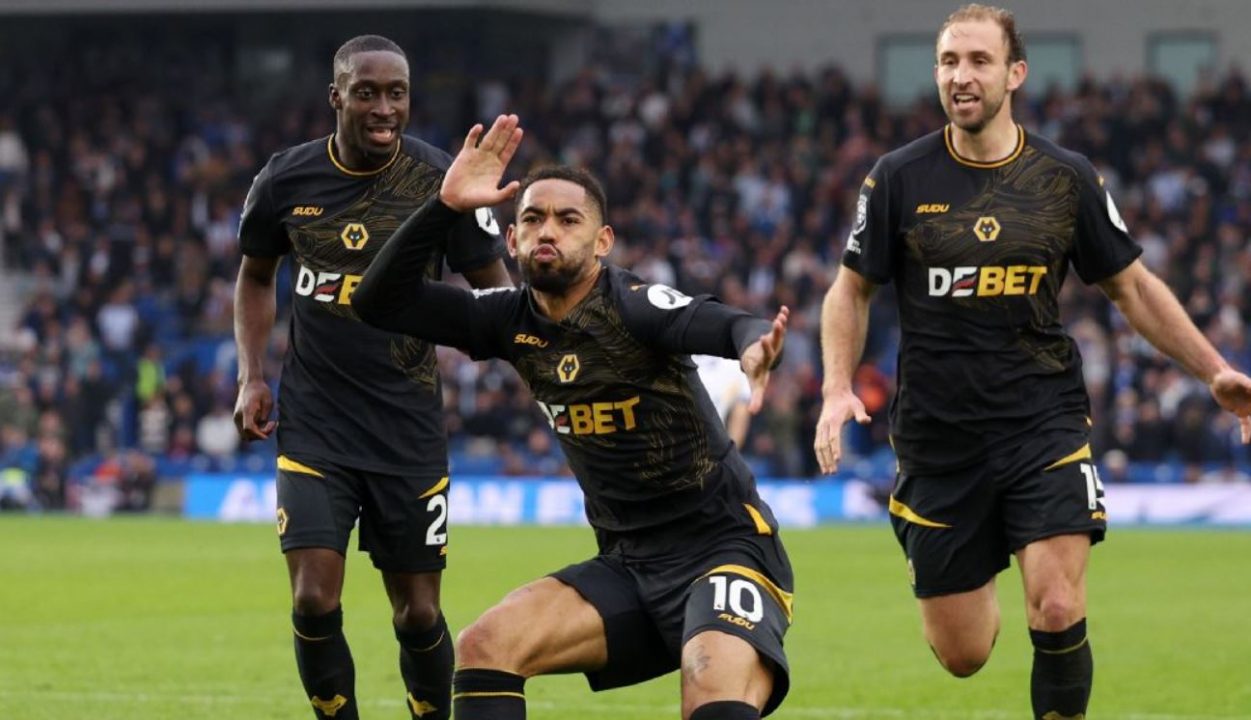 Hasil Brighton vs Wolves di Liga Inggris