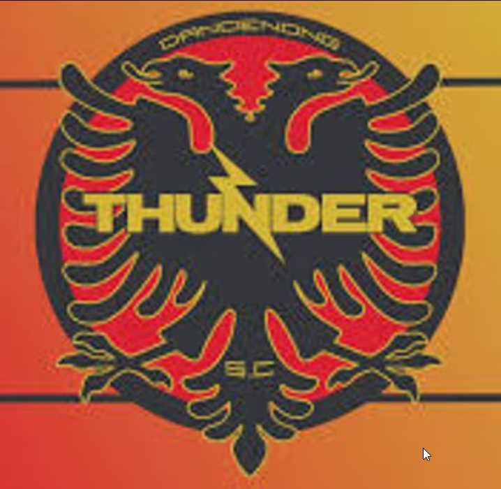 Logo Dandenong Thunder