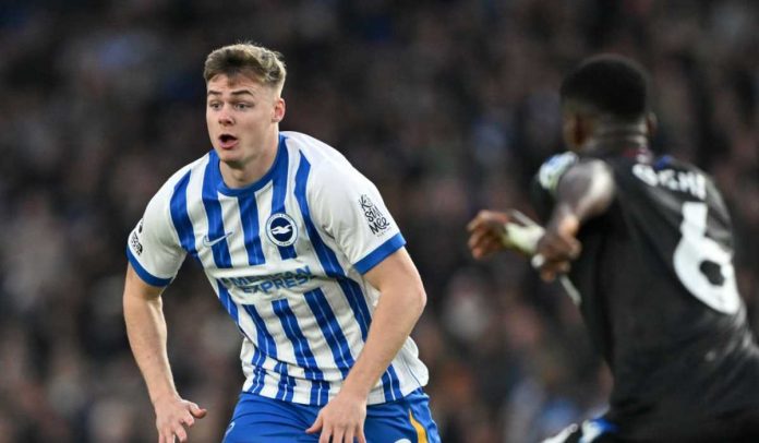 Evan Ferguson di laga Brighton vs Crystal Palace di Premier League