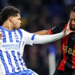 Hasil pertandingan Brighton vs Bournemouth