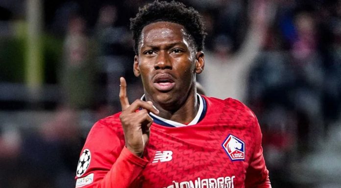 Jonathan David pemain Lille