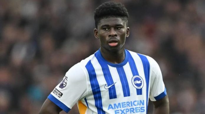 Carlos Baleba pemain Brighton