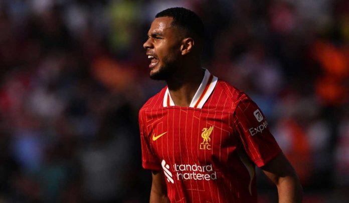 Cody Gakpo di laga Liverpool vs Arsenal