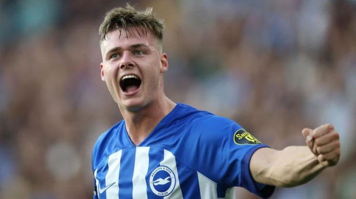 Evan Ferguson pemain Brighton