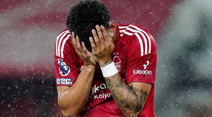 Hasil Nottingham Forest vs Brentford skor 0-2 - Liga Inggris 2024/2025