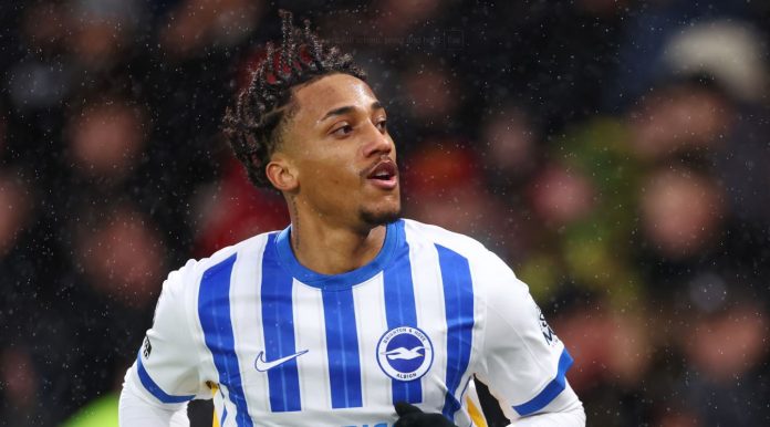 Joao Pedro striker Brighton