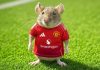Masalah tikus di stadion Old Trafford hantam Manchester United
