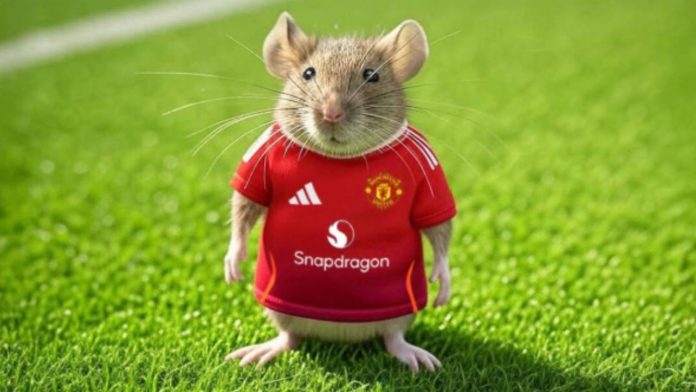 Masalah tikus di stadion Old Trafford hantam Manchester United