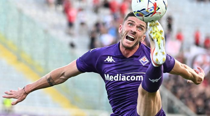 Robin Gosens pemain Fiorentina