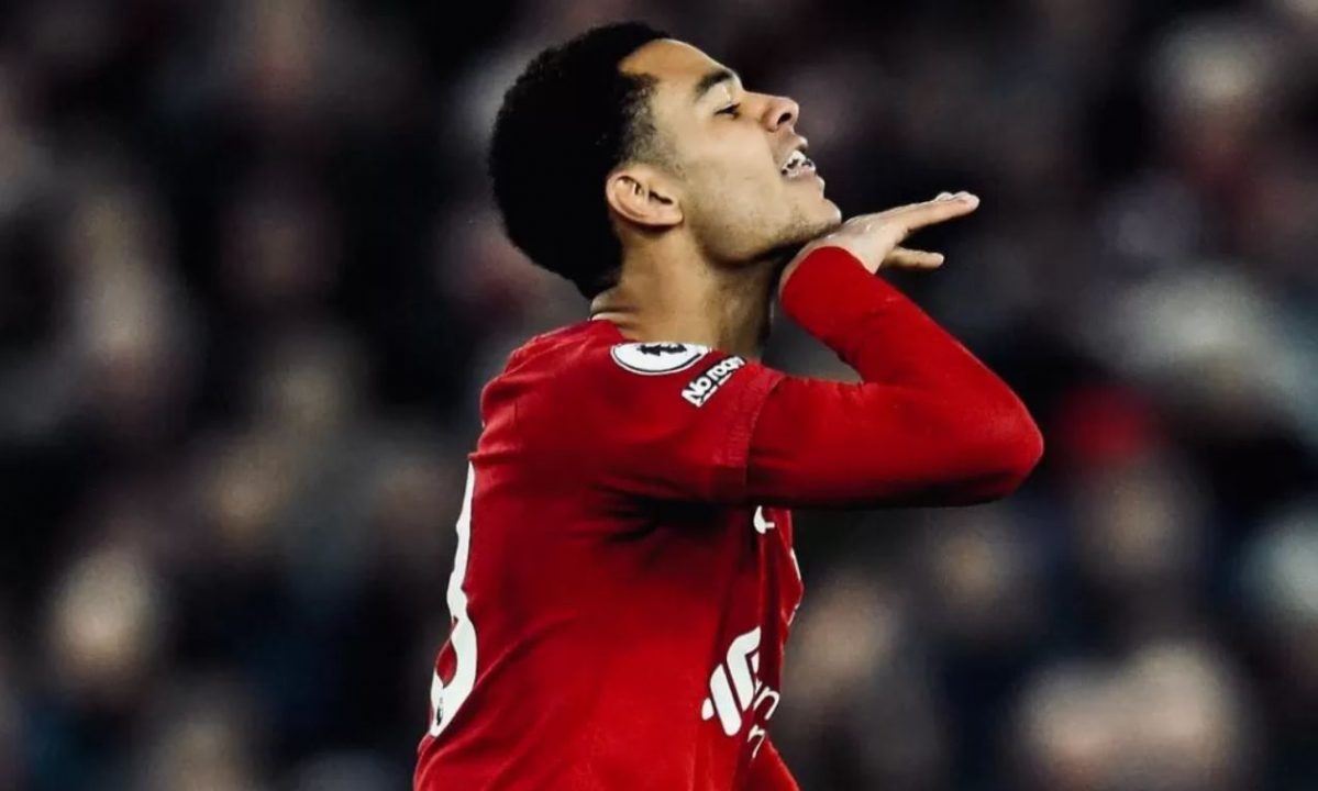 Bayern Munchen wajib dapatkan Cody Gakpo pemain Liverpool