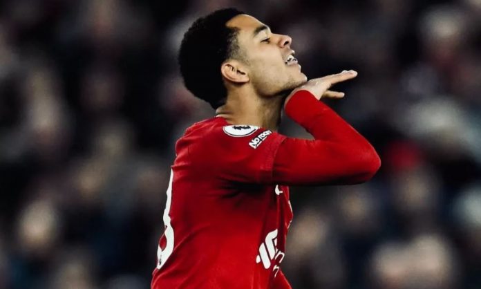 Bayern Munchen wajib dapatkan Cody Gakpo pemain Liverpool