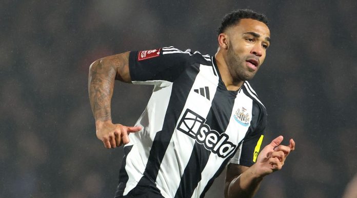 Callum Wilson pemain Newcastle United
