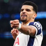 Dominic Solanke pemain Tottenham Hotspur