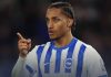 Joao Pedro pemain Brighton