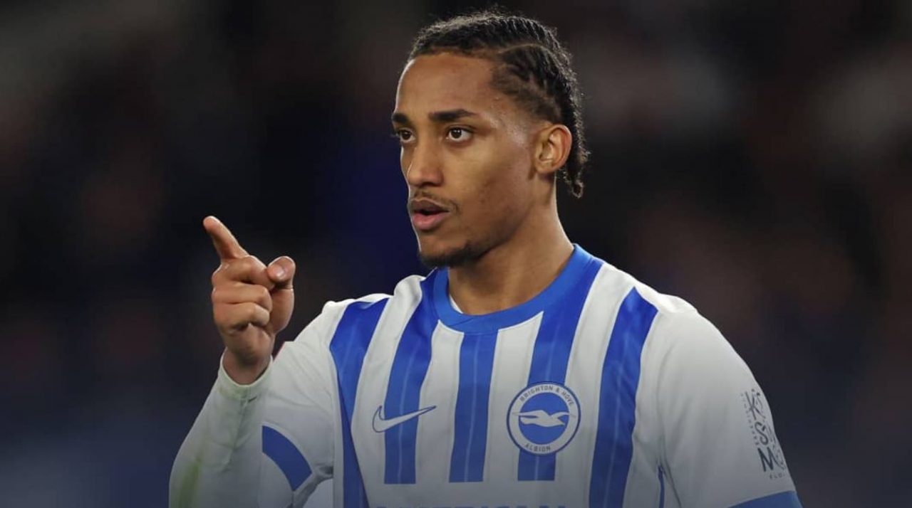 Joao Pedro pemain Brighton