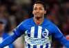 Joao Pedro pemain Brighton incaran Newcastle dan Liverpool