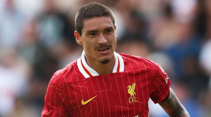 Darwin Nunez berikan reaksi saat Liverpool kejar penggantinya