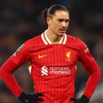 Darwin Nunez pemain Liverpool