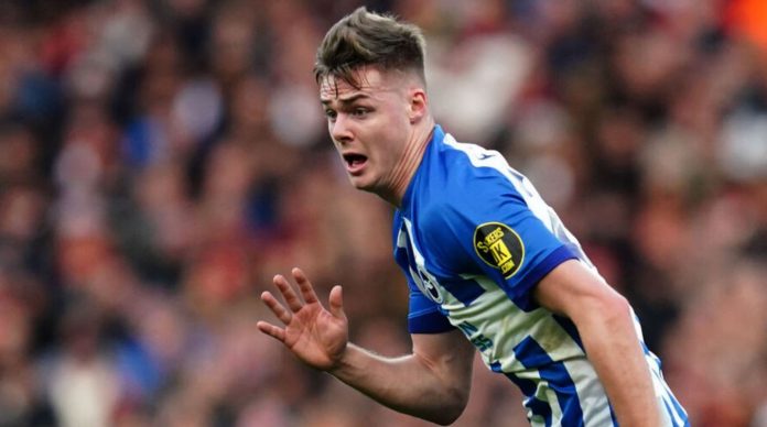 Evan Ferguson pemain Brighton